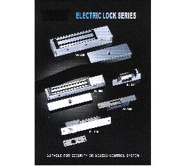 Electronic Locks.jpg